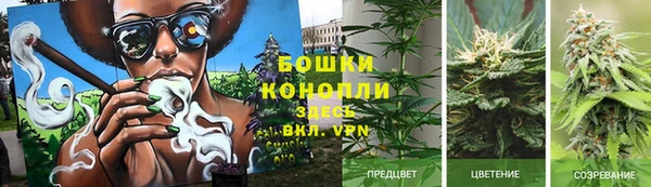 ГАЛЛЮЦИНОГЕННЫЕ ГРИБЫ Алексеевка