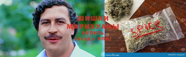 ГАЛЛЮЦИНОГЕННЫЕ ГРИБЫ Алексеевка
