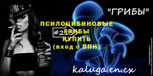 ГАЛЛЮЦИНОГЕННЫЕ ГРИБЫ Алексеевка